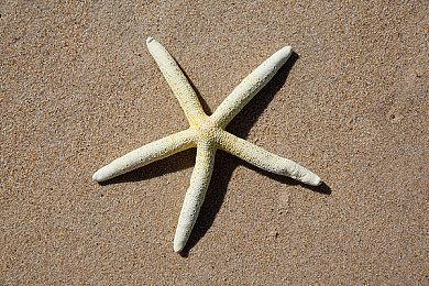 《战锤40K：机械神教2》面向PS5＆XS＆PC公布